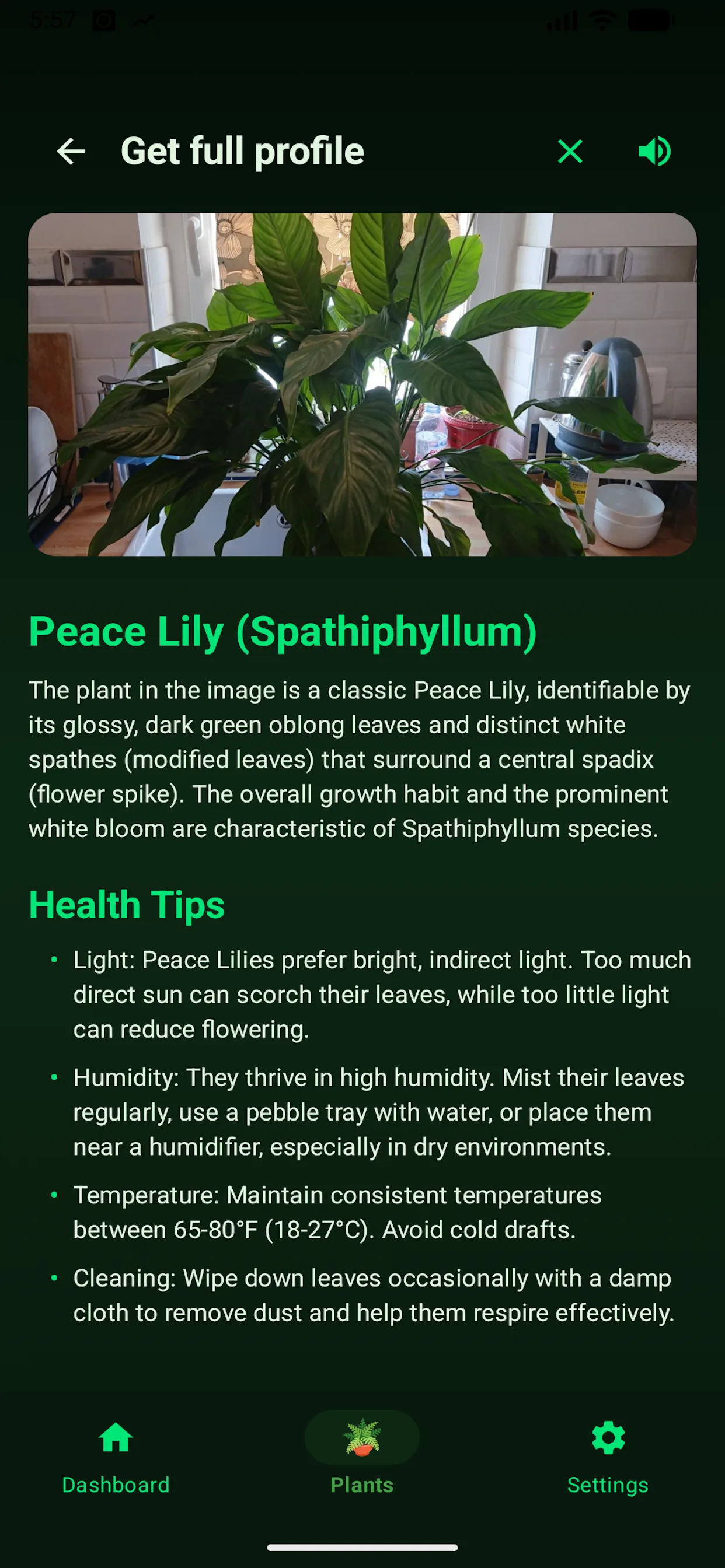 Full plant profile identifying a Peace Lily with light, humidity, temperature and cleaning health tips