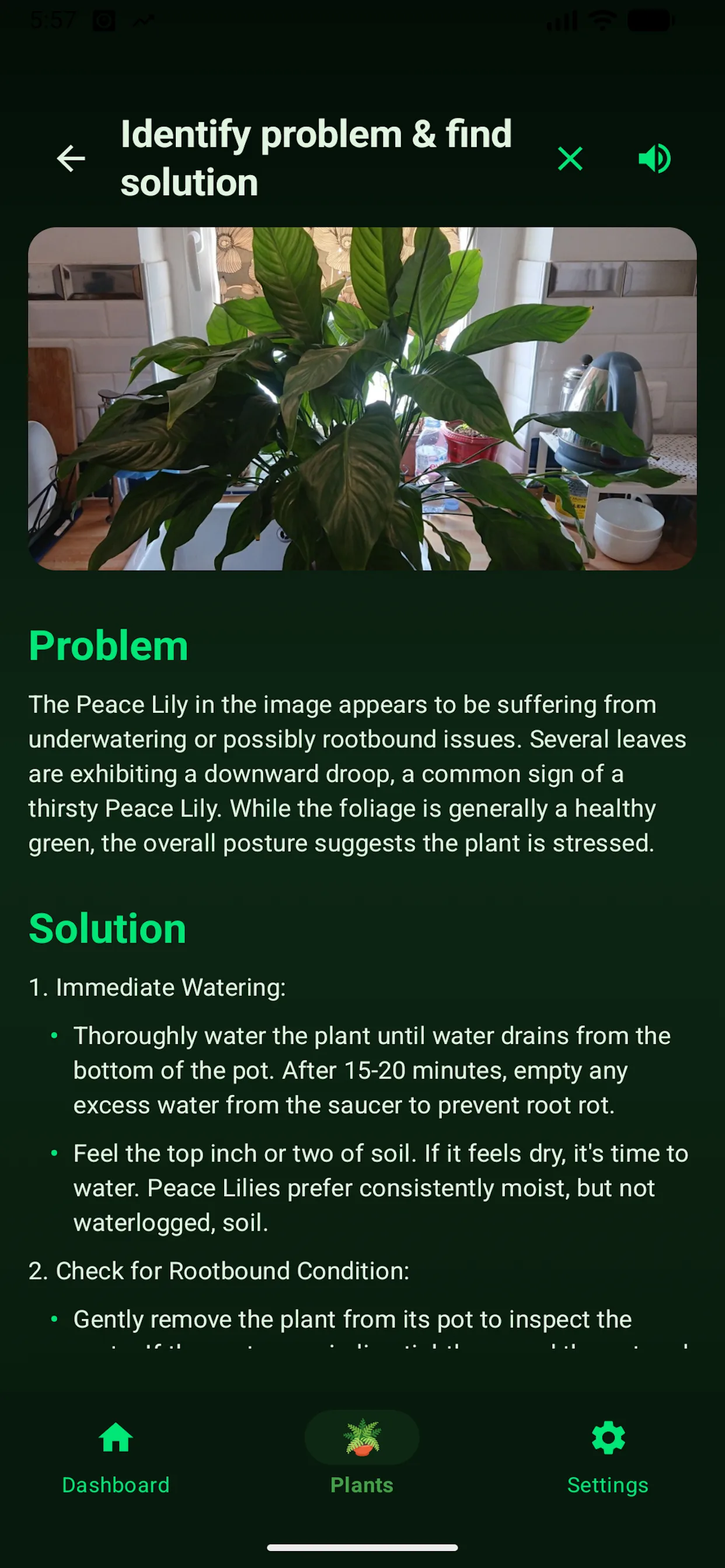 Identify problem and find solution screen diagnosing an underwatered Peace Lily with a numbered watering and rootbound checklist