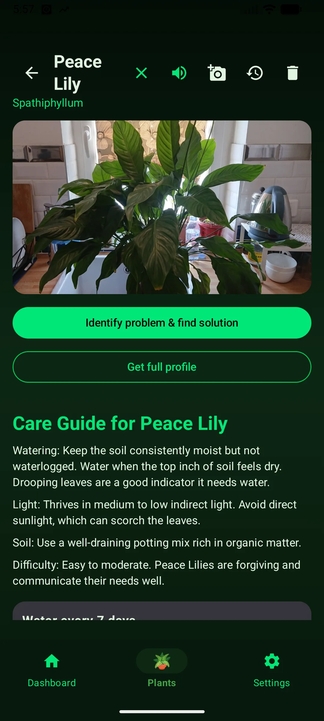 Peace Lily detail page with its photo, Identify problem and Get full profile buttons, and a watering and light care guide