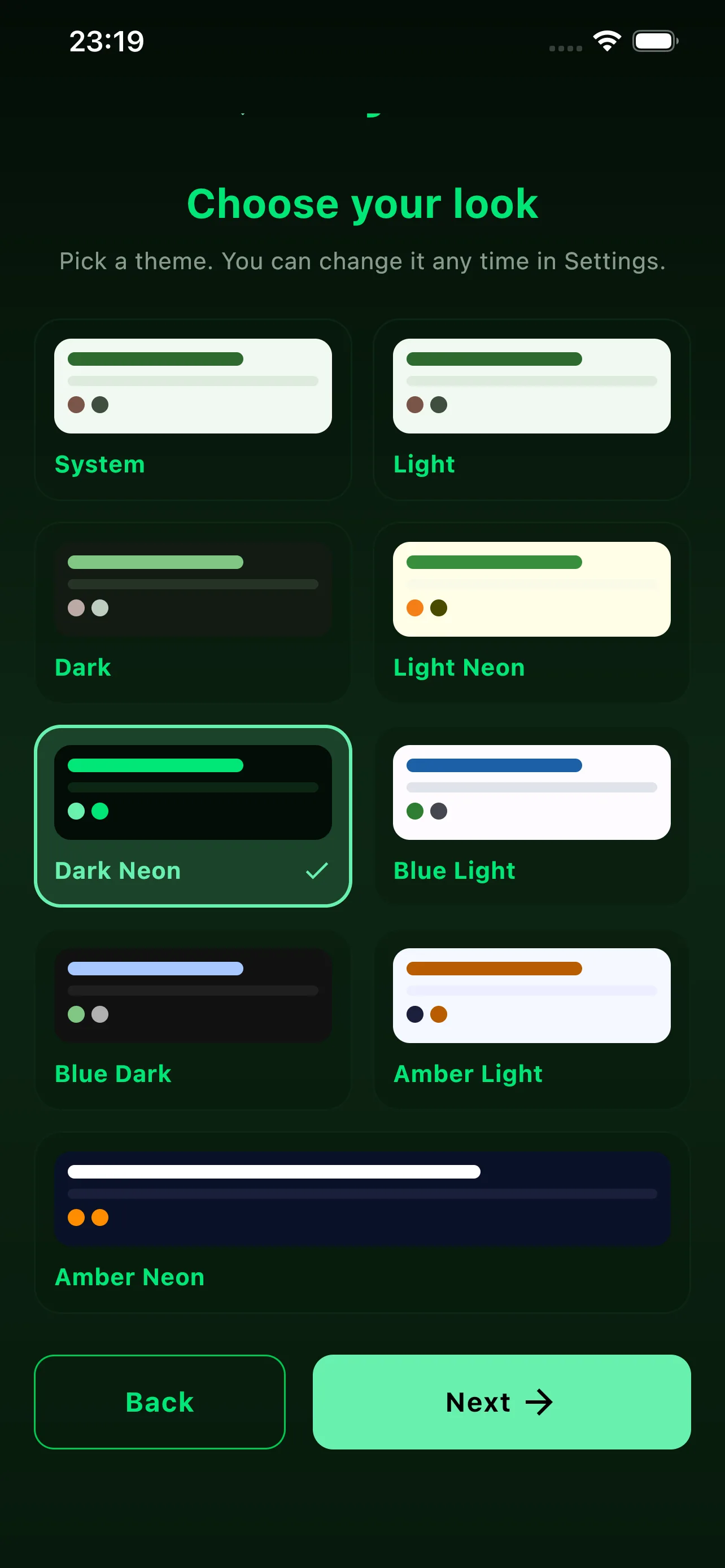 Theme picker with System, Light, Dark, Neon and Amber variants